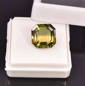 Natural Bi Color Tourmaline 6.60 Ct Certified AAAA+ Rare Loose Gemstone - Picture 1 of 8