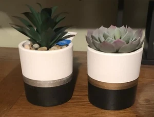 🌵 2 Faux Potted Succulents/ Cactus 🌵 Themed Home / Shelf Decor … NEW - Picture 1 of 2
