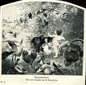 Vogelkantate - Menerheim -- Holzstich- aus 1893   - Picture 1 of 1