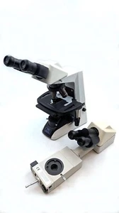 NIKON ECLIPSE E200 WITH Y-THF TEACHING HEAD - Picture 1 of 14