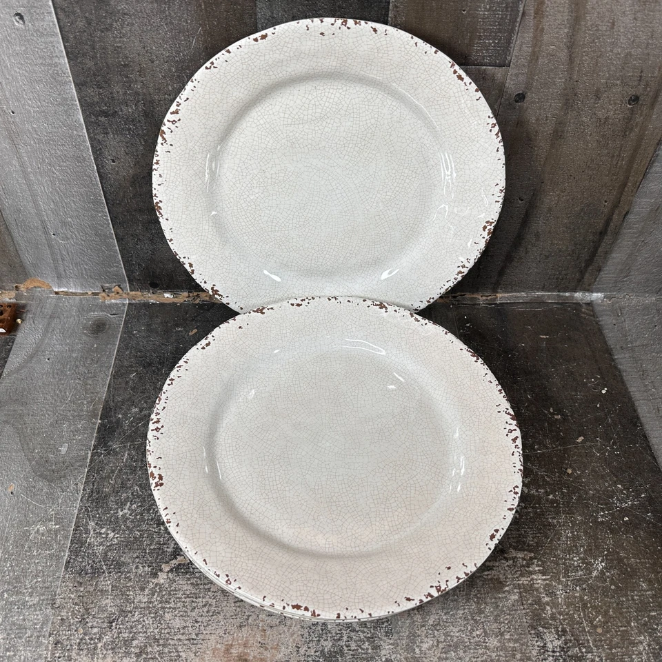 Conjunto de 4 pratos de jantar IL Mulino craquelado rústico 100% melamina 11" - Imagem 1 de 4