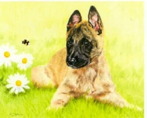 Belgian Shepherd Malinois Limited Edition Puppy Art Print Why So Busy? LAST ONE! - Picture 1 of 1