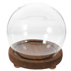 Glass Display Dome with Base - Showcase Your Miniatures or Plants