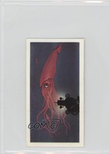 1974 Brooke Bond The Sea: Our Other World Tea Giants of the Deep #47 a8x