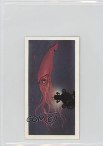 1974 Brooke Bond The Sea: Our Other World Tea Giants of the Deep #47 a8x