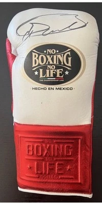 SAUL CANELO ALVAREZ SIGNED Autographed NO BOXING NO LIFE GLOVE Canelo Auto Jsa - Image 1 of 3