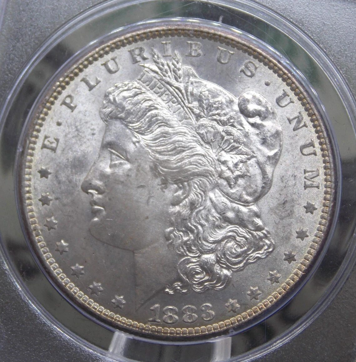 1883 Year Grade MS 65 Morgan Dollars (1878-1921) for sale | eBay