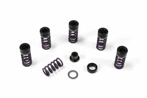 KAWASAKI Brocks Heavy Duty Clutch Spring Kit ZX-10R 2004-2025 Brocks Performance - Foto 1 di 2