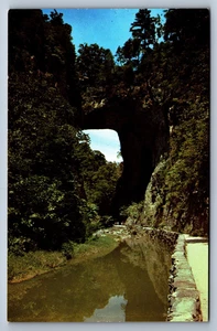 Postcard Virginia Natural Bride Stone Arch People Walkway 1950s Unposted - Imagen 1 de 2