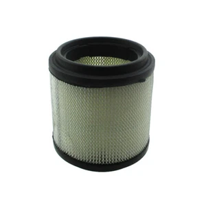 Filtro de aire para Polaris 250 Trail Boss 300 Xplorer 400 Sportsman 7080369 - Imagen 1 de 6