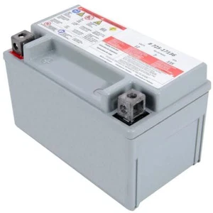 Mtd Genuine Factory Parts Power Tool Battery 12V 7 Ah 135 Cca Sealed Agm Mower - Picture 1 of 6