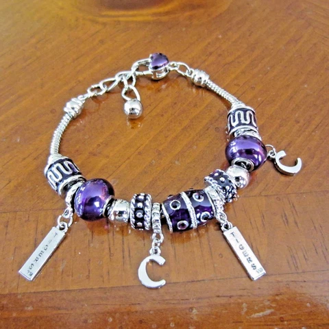 new! CLEMSON TIGERS EUROPEAN BEAD CRYSTAL SILVER DROP CHARM ADJUSTABLE BRACELET Cover