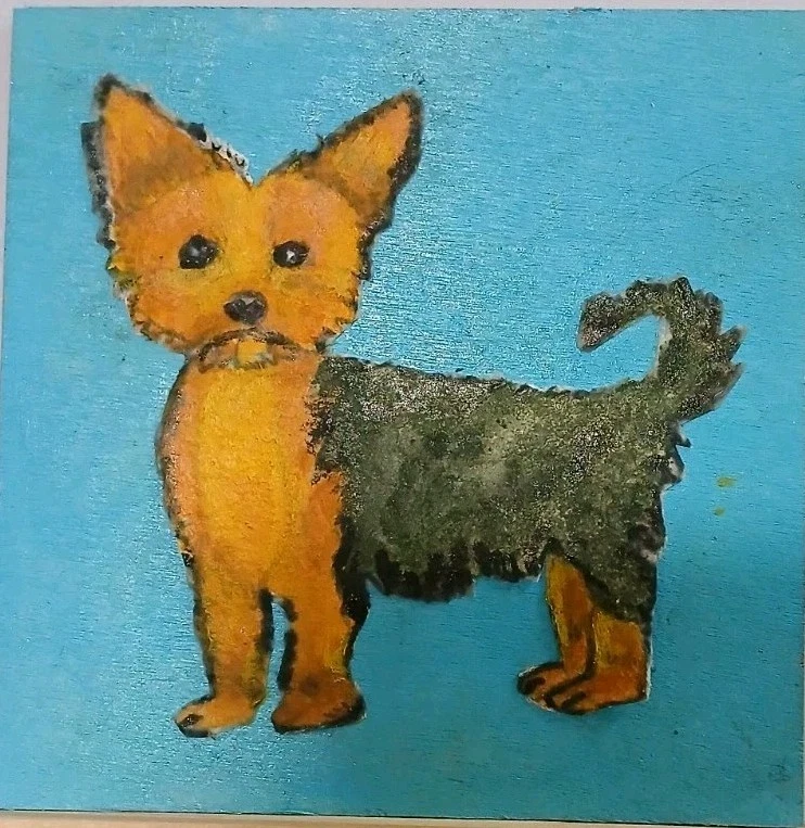 Yorkshire Terrier Foto 1 de 2