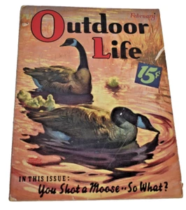 Vtg. February 1939 Outdoor Life Magazine - Canadian Geese Cover - Picture 1 of 3