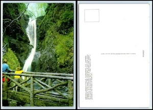 IRELAND Postcard - Glenariff, Ess Na Larach Falls GN - Picture 1 of 1