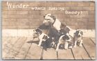 dog pitbull mix and puppies litter rppc vintage postcard rotograph 1906