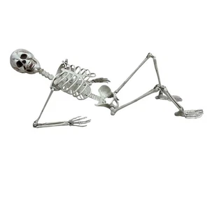 70cm For Halloween Skeleton Plastic Decoration with Adjustable Pose Joints - Picture 1 of 12