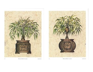 Juego de 2 impresiones de palmeras marroquíes Palm I y II de Steve Butler 9x12 pulgadas - Imagen 1 de 3