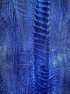 GENUINE OSTRICH LEG SKIN LEATHER HIDE EXOTIC LEATHER - Picture 1 of 6
