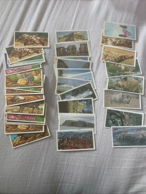 Vintage Lot of 40 Brooke Bond Tea Cards – Mixed Series (Very Good Condition) - Image 1 of 4