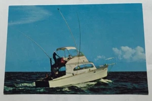 Charter Boat Fishing In The Gulf Stream, Florida. Postcard (D3) - Picture 1 of 2