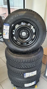 Winterkompletträder Peugeot 2008 E-2008 215/65R16 98H FALKEN EUROWINTER - Bild 1 von 3