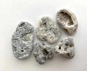 5 Holey Rocks w/Calcite Crystals Beach Hag Stones Fossil Shell Druzy Mystic USA - Picture 1 of 20