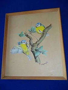 Vintage Original Martin Rumary Wildlife UK artist Yellow Birds  Drawing Coloring - Picture 1 of 10
