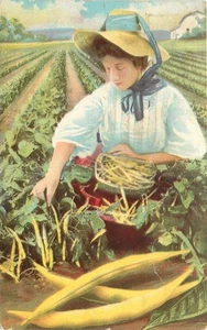 1916 Rockford Illinois Buckbee Seed Advertising Woman  Postcard 25-10915 - Picture 1 of 2