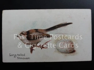Single: 'Long-Tailed Titmouse' - 'BIRDS & EGGS' Harvey & Davy 1905 - Bild 1 von 1