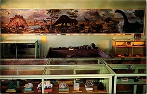 Postal de precio de museo prehistórico de Utah - Imagen 1 de 2