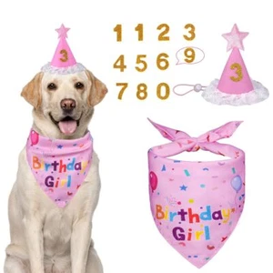 Dog Birthday Decorations Pink Hat with Numbers Bandana Set for Dogs Pet Gift - Picture 1 of 8