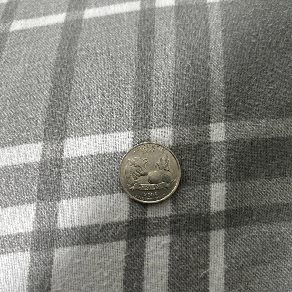 2004 High Leaf Error Wisconsin P Mint Mark Quarter… Nice Condition.  Errors   - Image 1 of 1