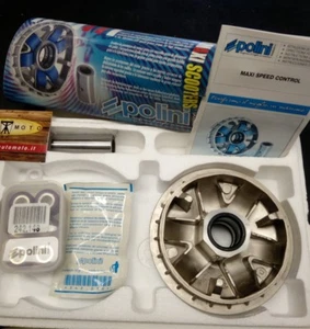 VARIATORE POLINI 241.606 PER HONDA PANTHEON 125 / 150 - Foto 1 di 1