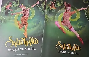 Cirque Du Soleil Saltimbanco Official Program Guide GOOD Condition - Picture 1 of 14