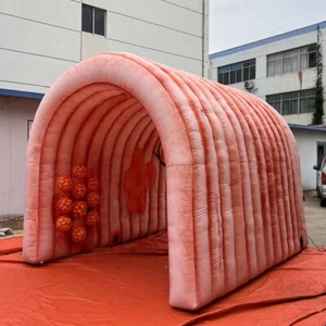 Outdoor Inflatable Colon Tunnel Medical Inflatable Human Colon Model Replica - Picture 1 of 3
