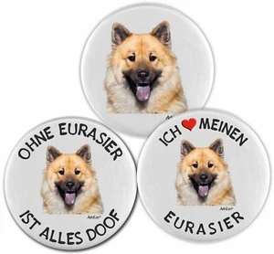 Kühlschrankmagnet - 3er Set - Eurasier - Hund Dog Magnet Pin Board Deko - Bild 1 von 2