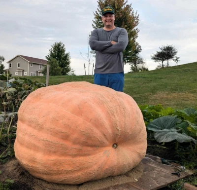 Semillas de calabaza gigante atlántica - Paquete de 2 semillas de calabaza enorme 1222 lb Foto 1 de 2
