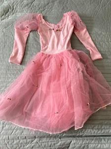 Aurora ~Sleeping Beauty Style Dress ~Princess Paradise~Size 6~Hoop skirt~Costume - Picture 1 of 7