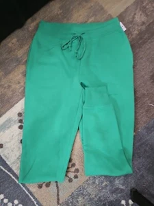 wild fable Green Sweat Pants - Picture 1 of 3