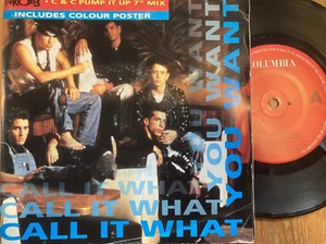 1991 NKOTB NEW KIDS ON THE BLOCK 7" IN POSTER SLV CALL IT WHAT YOU WANT 656785 0 - Picture 1 of 2