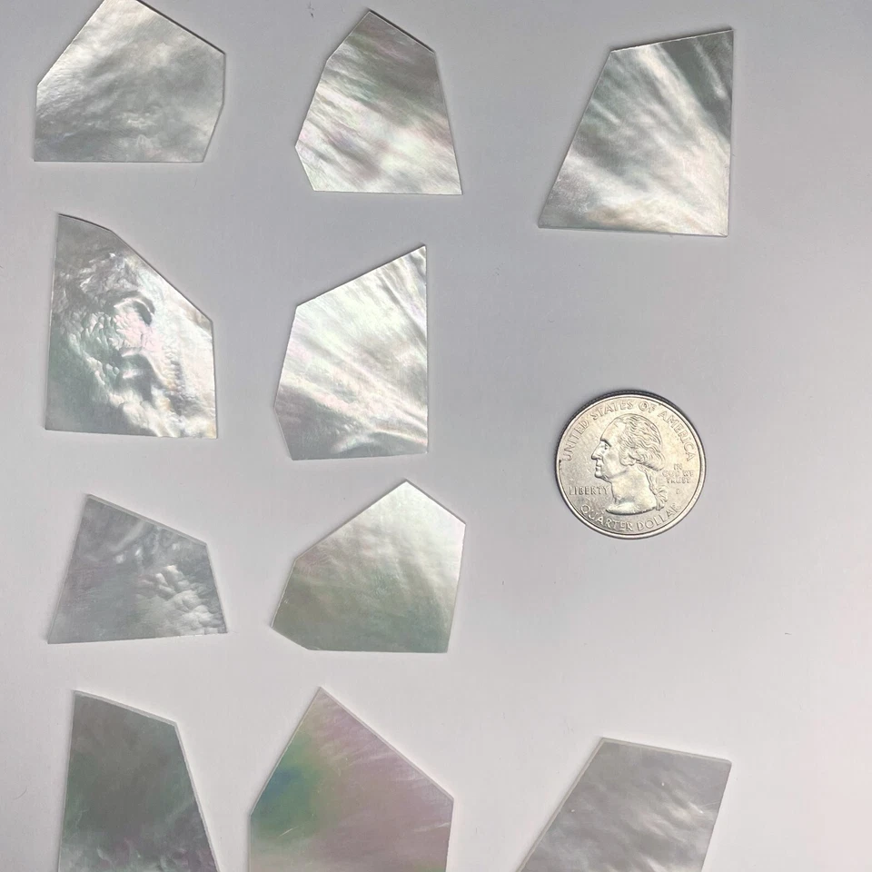 (1 oz) BLANCO nácar incrustación de concha espacios en blanco 0,050" de grosor ~ 10-14 piezas Foto 1 de 1