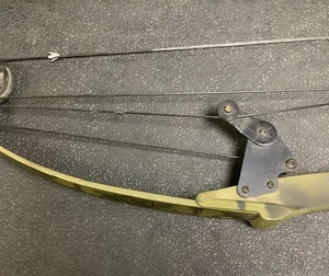 Vintage Bear Whitetail Hunter 30” RH Compound Bow FRED BEAR ARCHERY 65# max. 39" - Picture 1 of 7