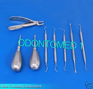 Kit dental felino 8 piezas conjunto de instrumentos odontología felina instrumentos premium DN-518 - Imagen 1 de 2