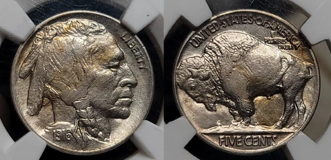 1916 Double Die Buffalo Nickel 5c NGC MS 61 Cover