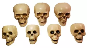 7pcs Plastic Human Skull Skeleton Horror Haunted Party Prop Halloween 6.5" - 8" - Picture 1 of 9