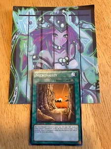 Yugioh 1x Necrovalley Common Light Play 1st Edition SDMA-EN025 - Picture 1 of 1