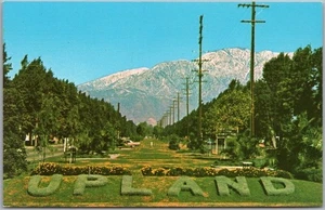 c1960s UPLAND, California Postcard "Snow-Capped Mountain Range over Euclid Ave." - Picture 1 of 2