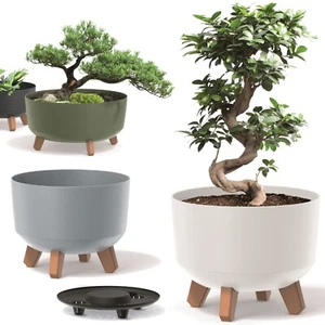 Blumentopf für bonsai mit Einsatz an den Füßen rund Pflanzkübel Matt Übertöpfe - Bild 1 von 16