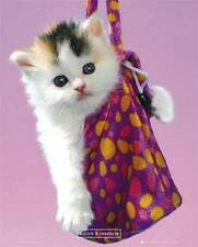 Keith Kimberlin: Kitten in a Bag – Mini-Poster 40 cm x 50 cm, neu und...